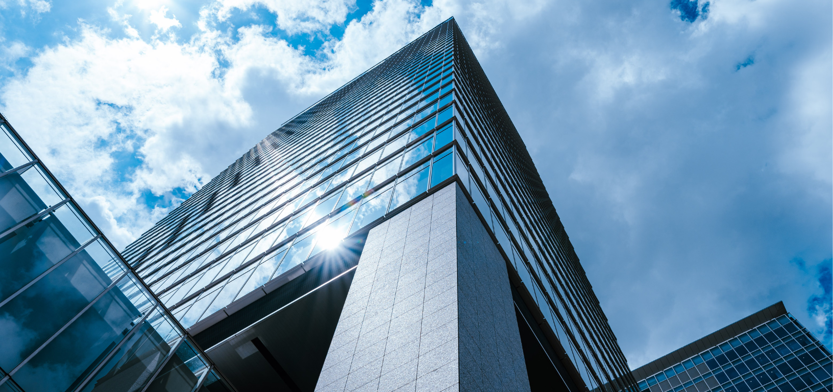 Foundations vs. Trusts: Which structure is right for protecting your wealth?